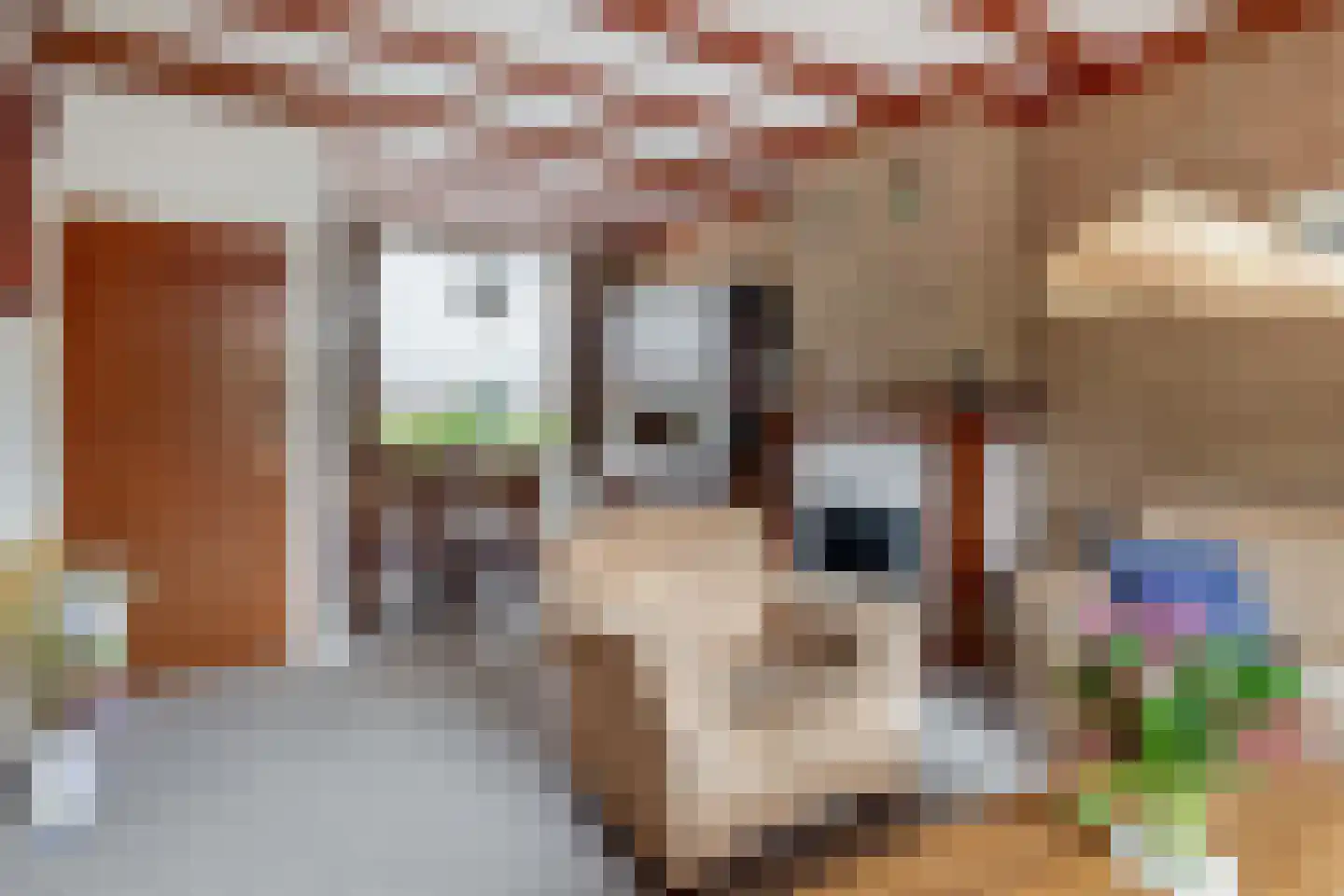 Leliestraat 1 Schijndel thumbnail 6