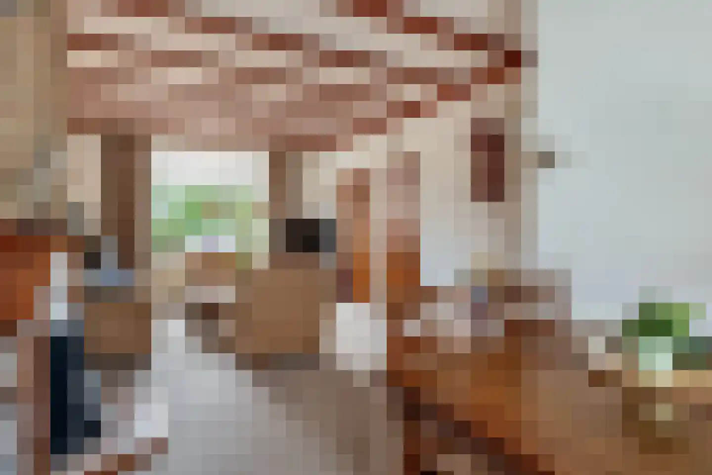 Leliestraat 1 Schijndel thumbnail 9