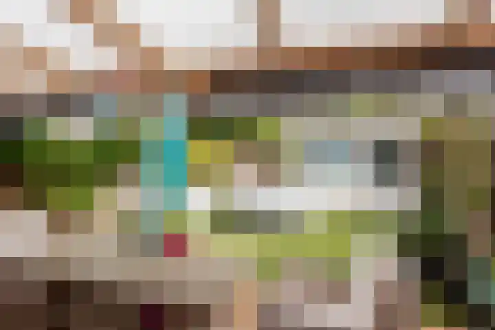 Leliestraat 1 Waarland thumbnail 18