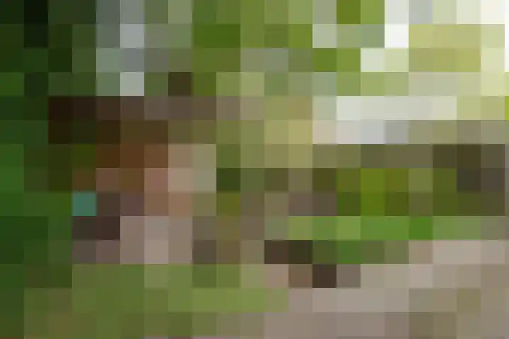 Leliestraat 1 Waarland thumbnail 24