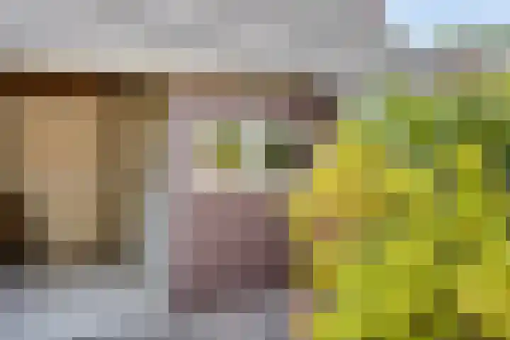 Leliestraat 10 's-Gravendeel thumbnail 27