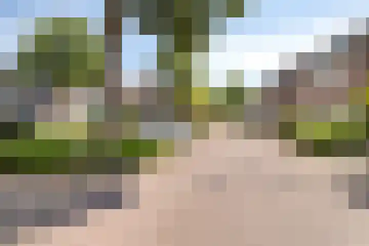 Leliestraat 10 's-Gravendeel thumbnail 32