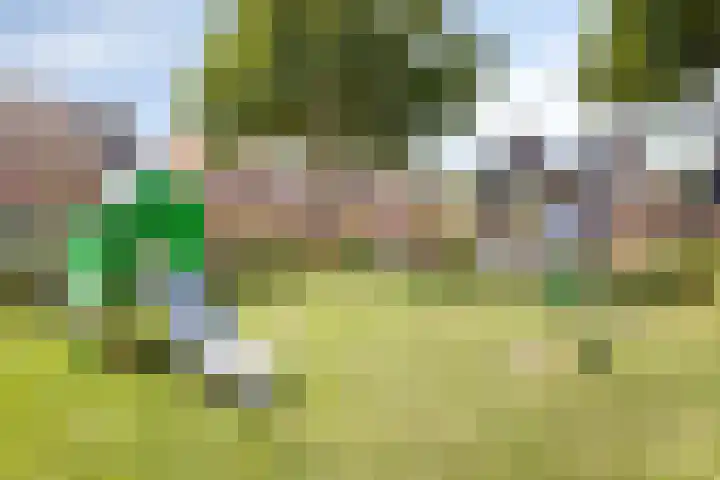 Leliestraat 10 's-Gravendeel thumbnail 33