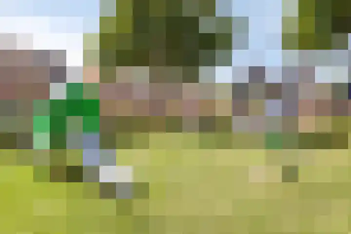 Leliestraat 10 's-Gravendeel thumbnail 34