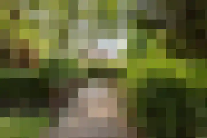 Leliestraat 10 's-Gravendeel thumbnail 36