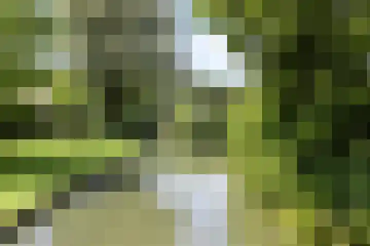 Leliestraat 10 's-Gravendeel thumbnail 37