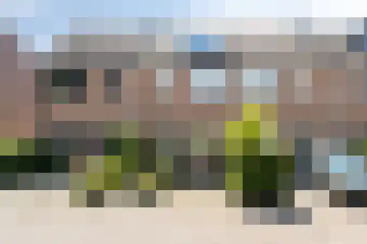 Leliestraat 10 's-Gravendeel thumbnail 48