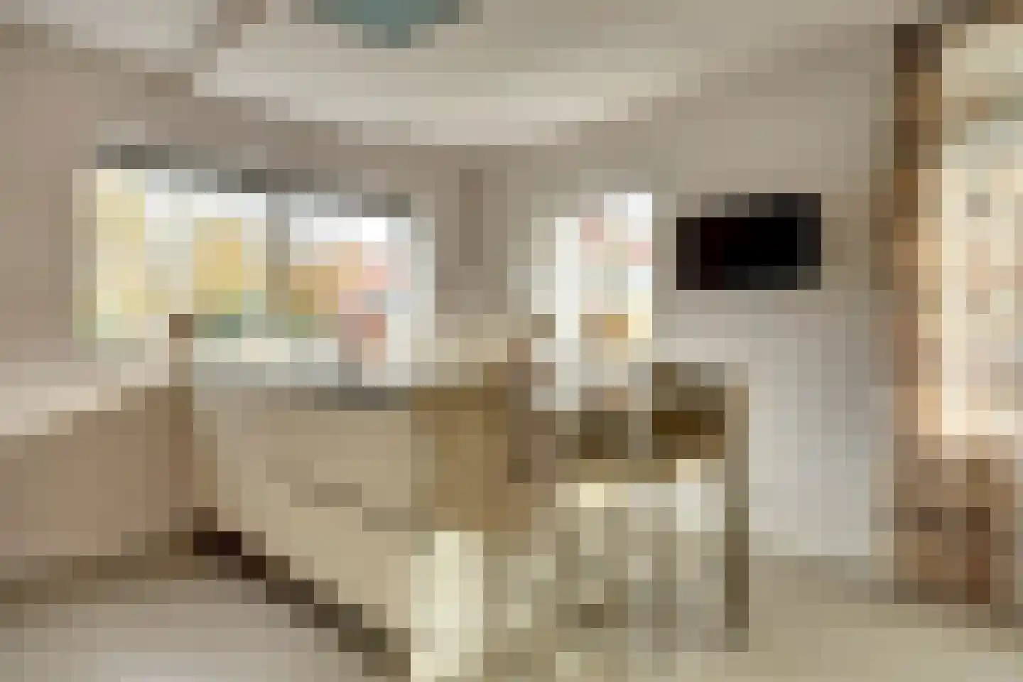 Leliestraat 105 Goes thumbnail 18
