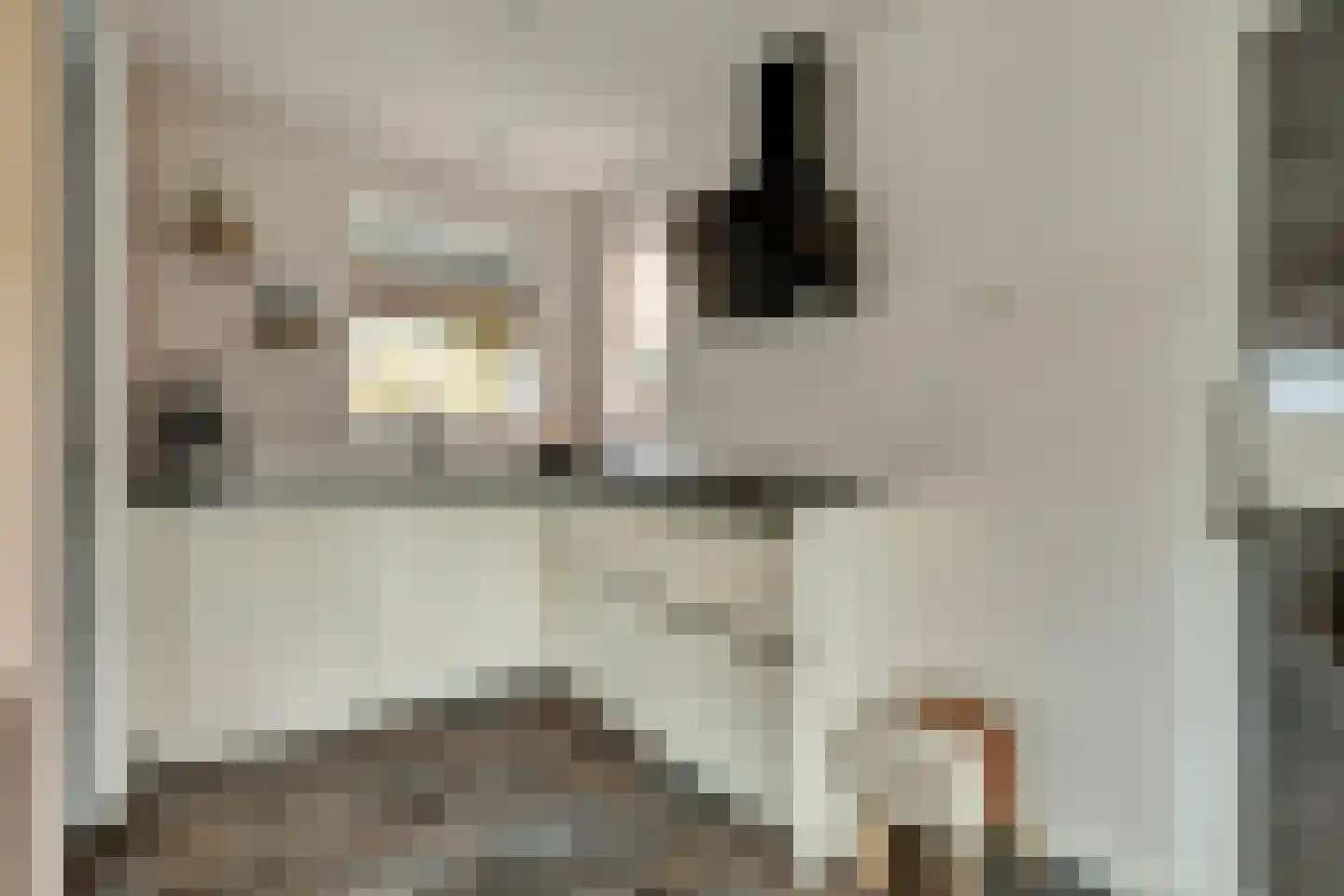 Leliestraat 105 Goes thumbnail 22
