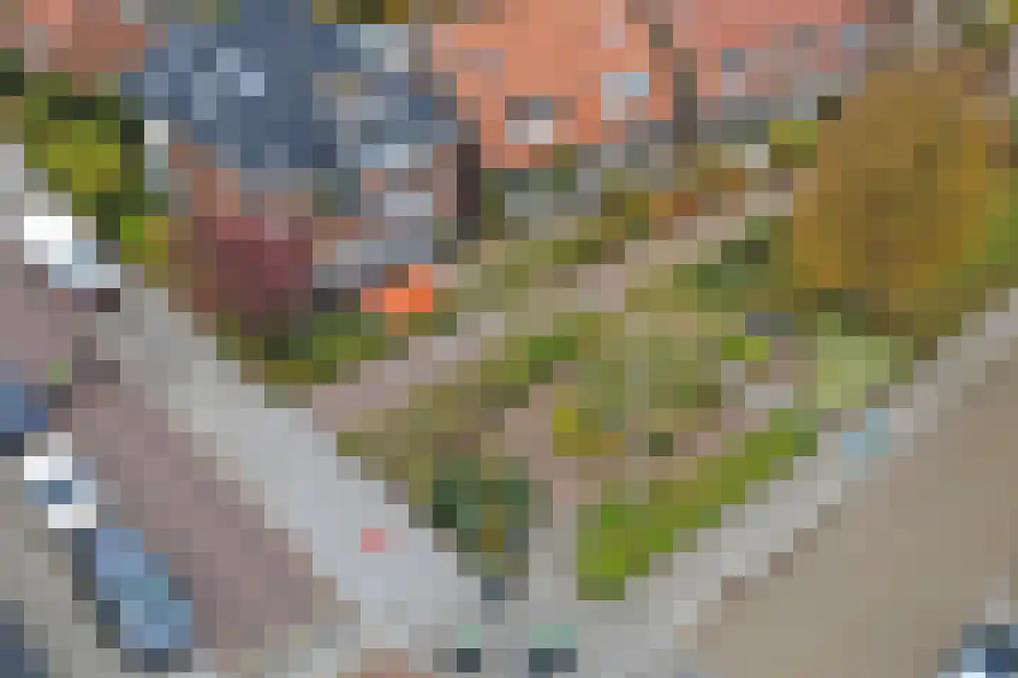 Leliestraat 105 Goes thumbnail 55