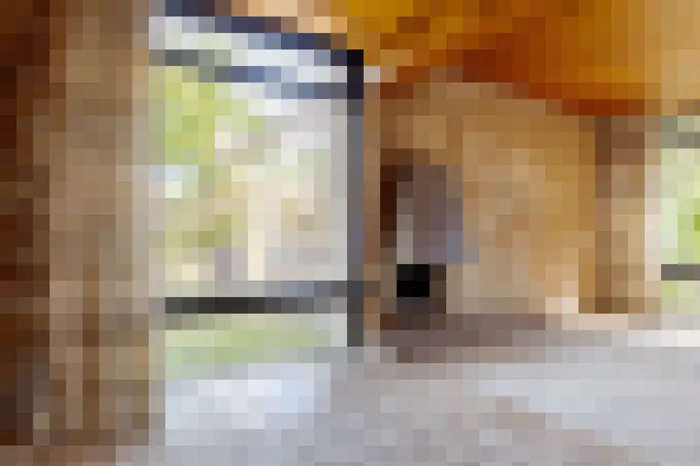 Leliestraat 11 Winsum thumbnail 19