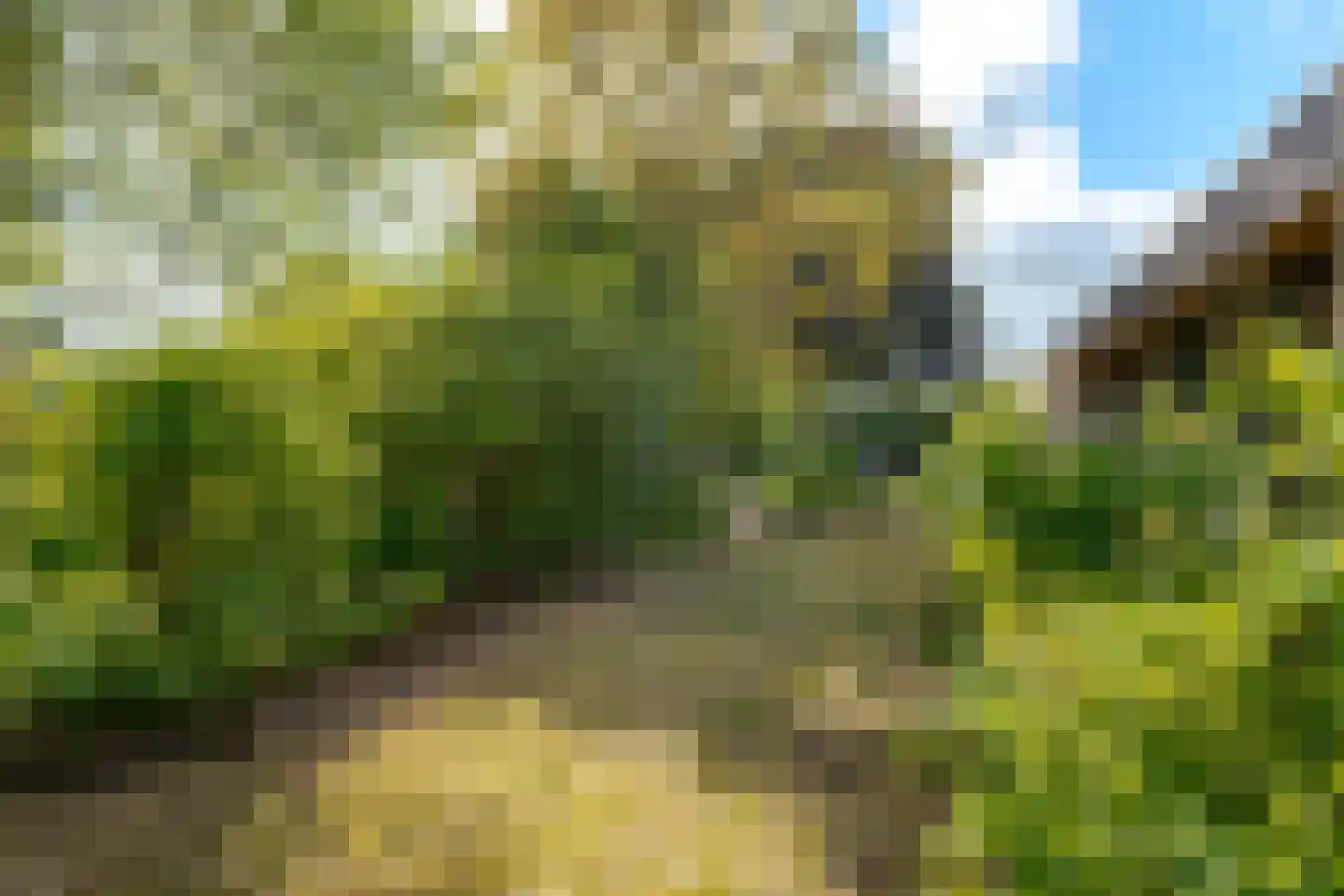 Leliestraat 11 Winsum thumbnail 5