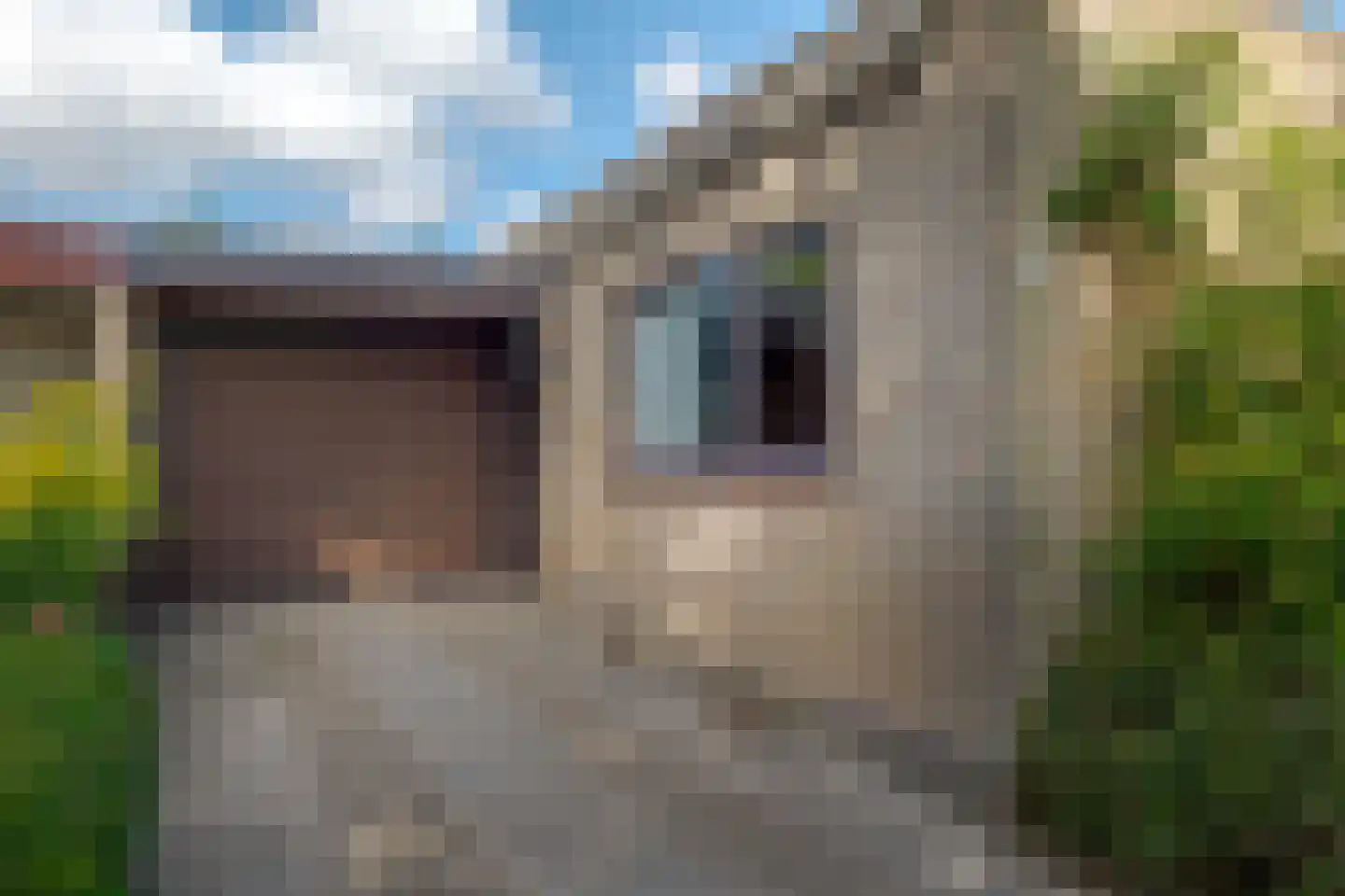 Leliestraat 11 Winsum thumbnail 7