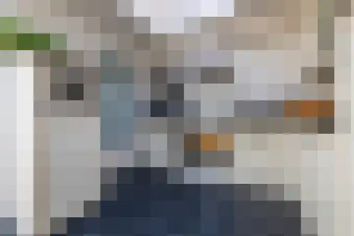 Leliestraat 11 Zeist thumbnail 12