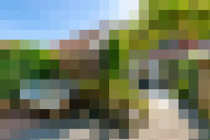 Leliestraat 11 Zeist thumbnail 25