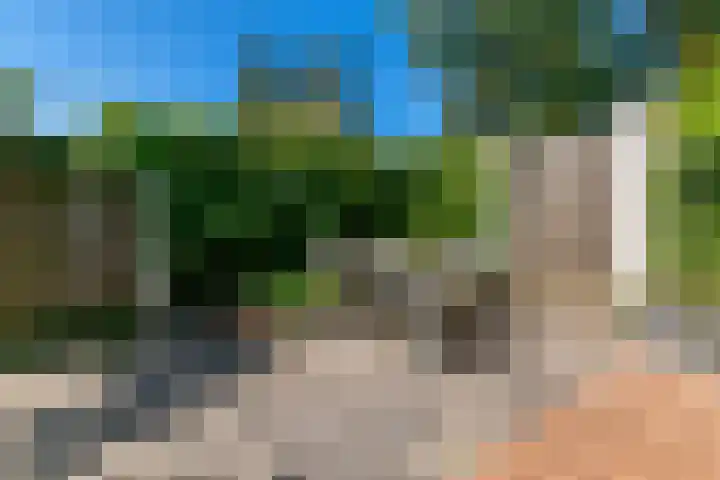Leliestraat 11 Zeist thumbnail 26
