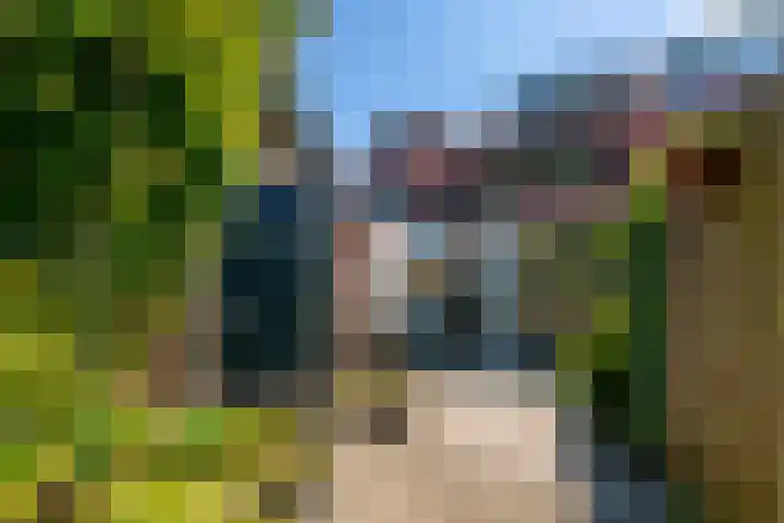 Leliestraat 11 Zeist thumbnail 30