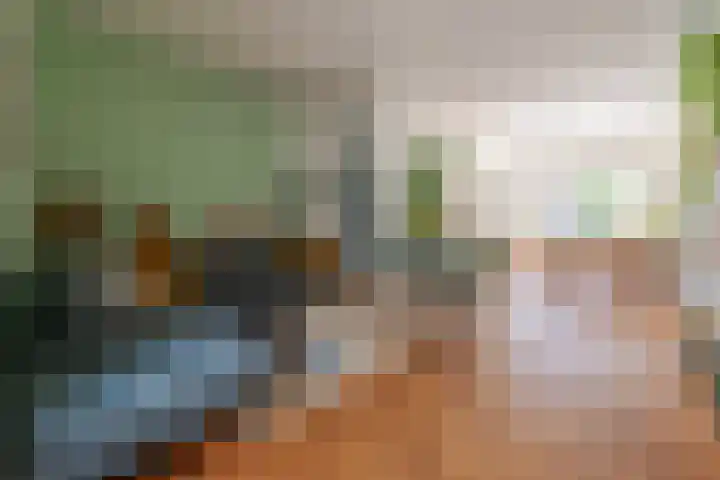 Leliestraat 11 Zeist thumbnail 4