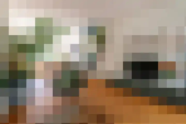 Leliestraat 11 Zeist thumbnail 5