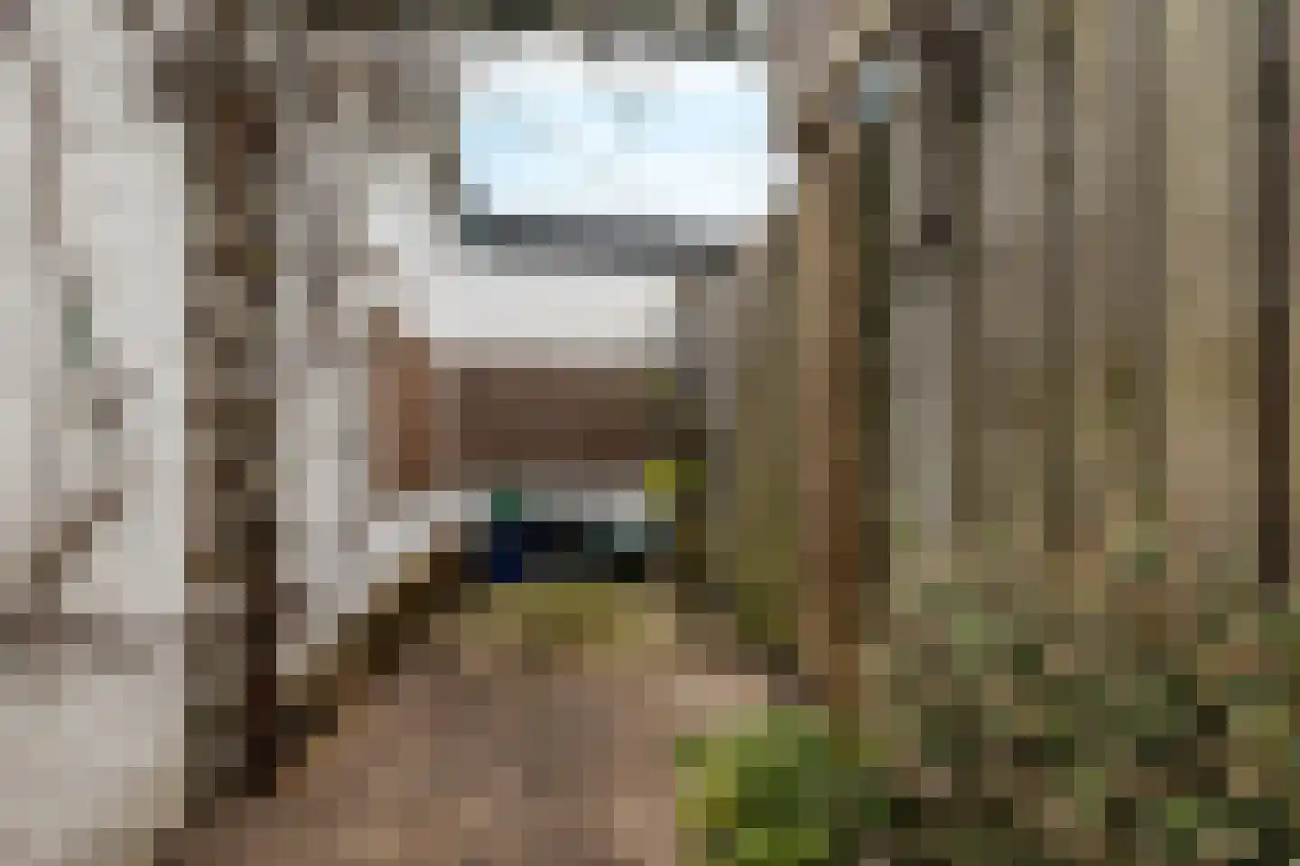 Leliestraat 11 ZW Haarlem thumbnail 20