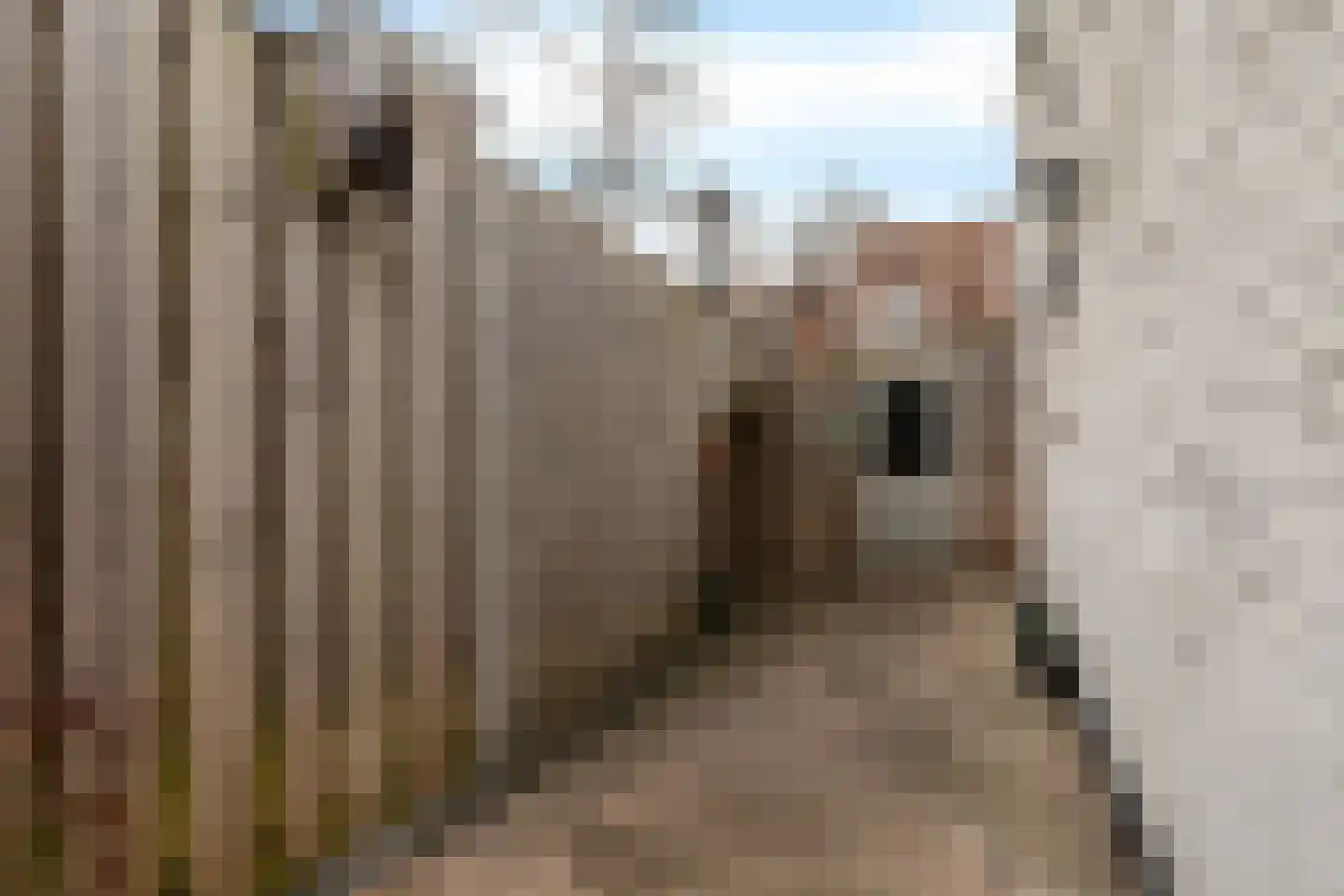 Leliestraat 11 ZW Haarlem thumbnail 21