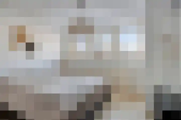 Leliestraat 119 Goes thumbnail 23