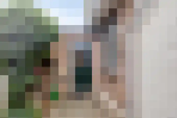 Leliestraat 119 Goes thumbnail 33