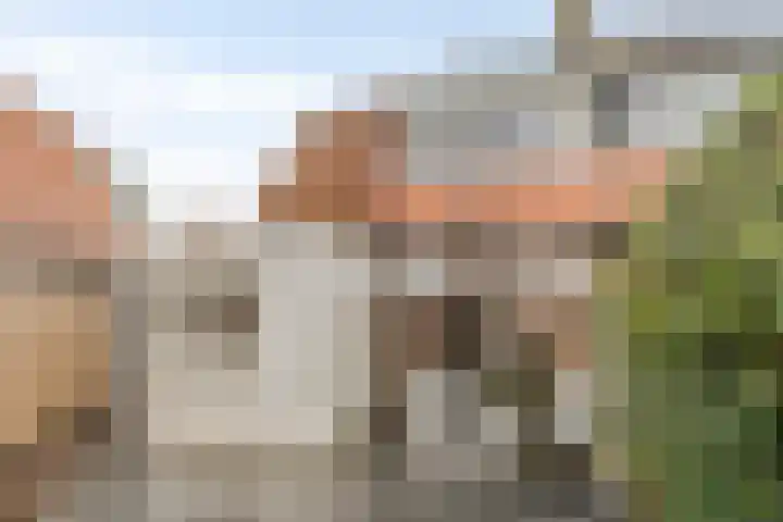 Leliestraat 119 Goes thumbnail 35