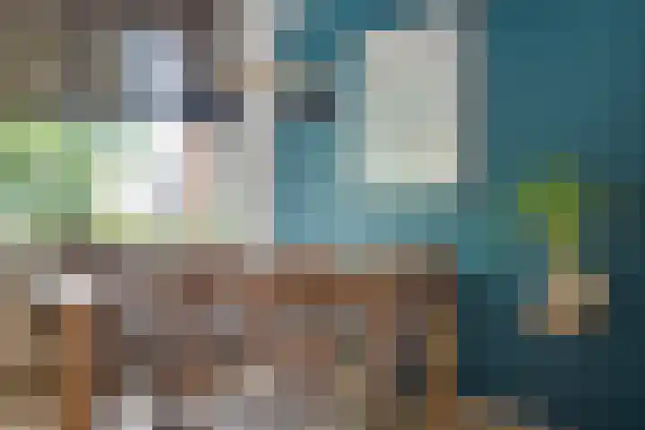 Leliestraat 12 Echt thumbnail 12