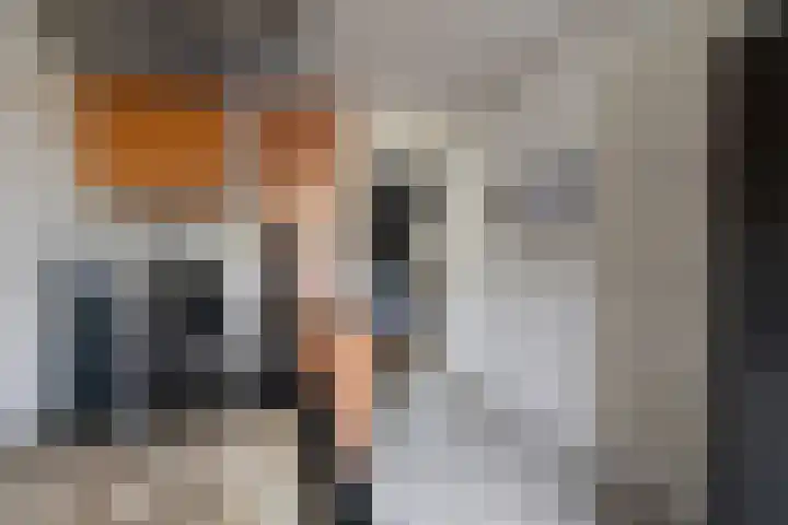 Leliestraat 12 Echt thumbnail 17