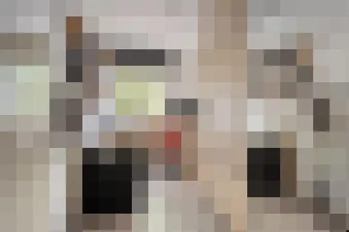 Leliestraat 12 Echt thumbnail 22