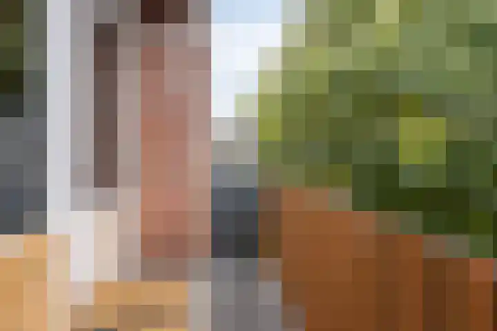 Leliestraat 12 Echt thumbnail 24