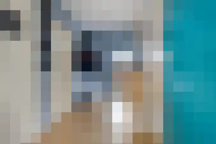 Leliestraat 12 Echt thumbnail 7