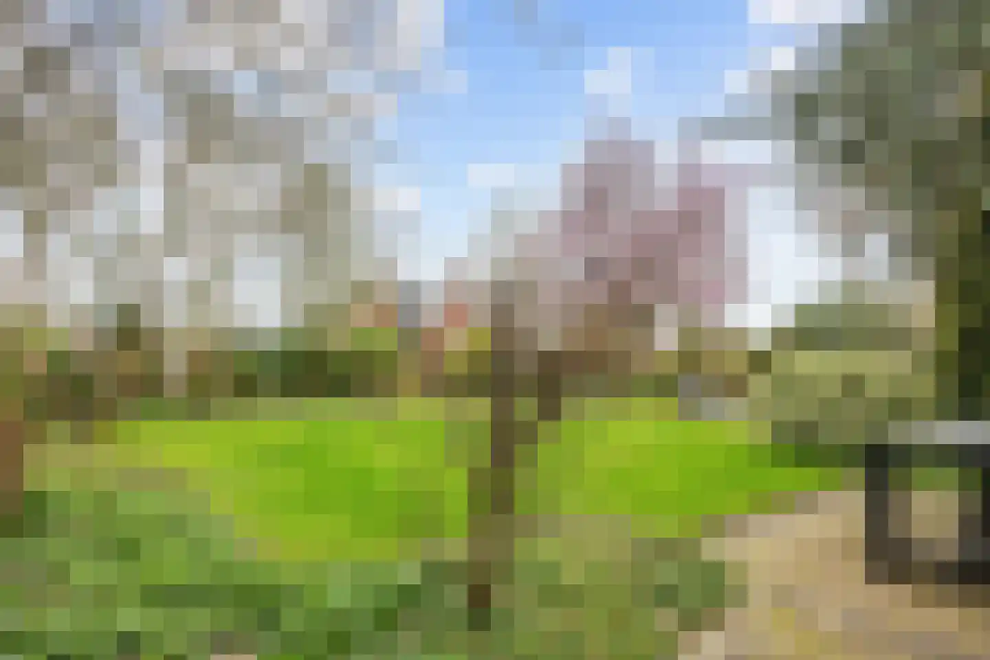 Leliestraat 12 Winsum thumbnail 35