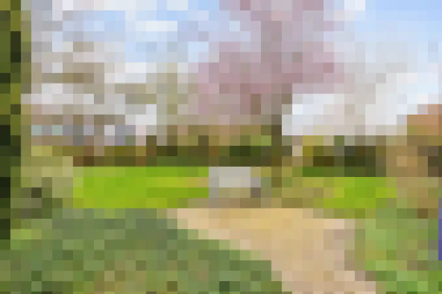 Leliestraat 12 Winsum thumbnail 37