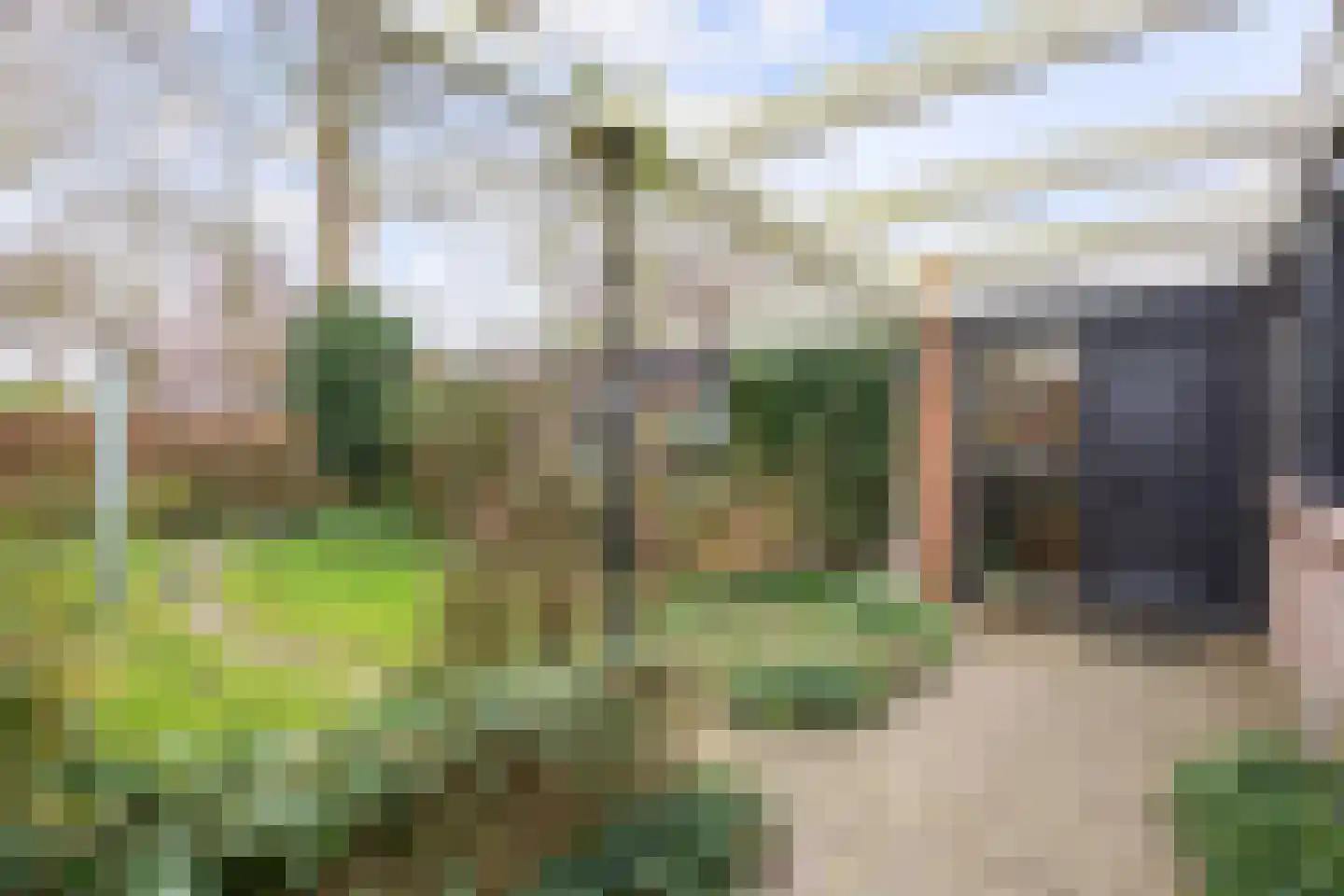 Leliestraat 12 Winsum thumbnail 6