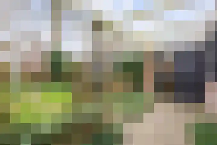 Leliestraat 12 Winsum thumbnail 6