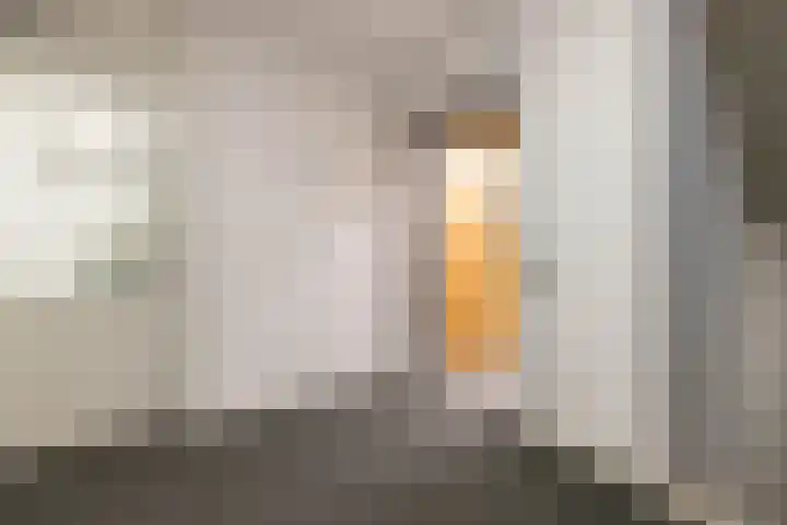 Leliestraat 13 b Roelofarendsveen thumbnail 19