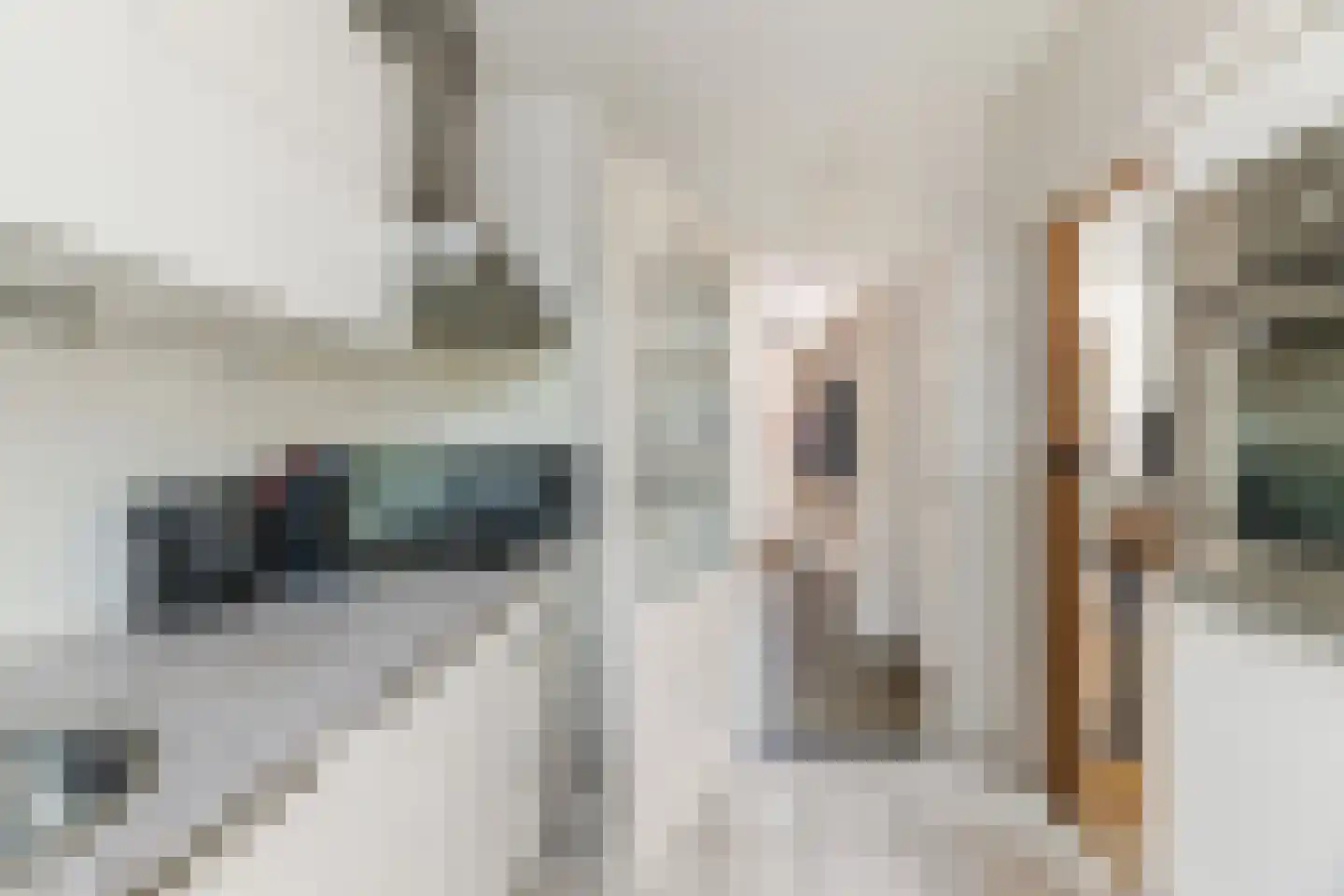 Leliestraat 13 Dongen thumbnail 14