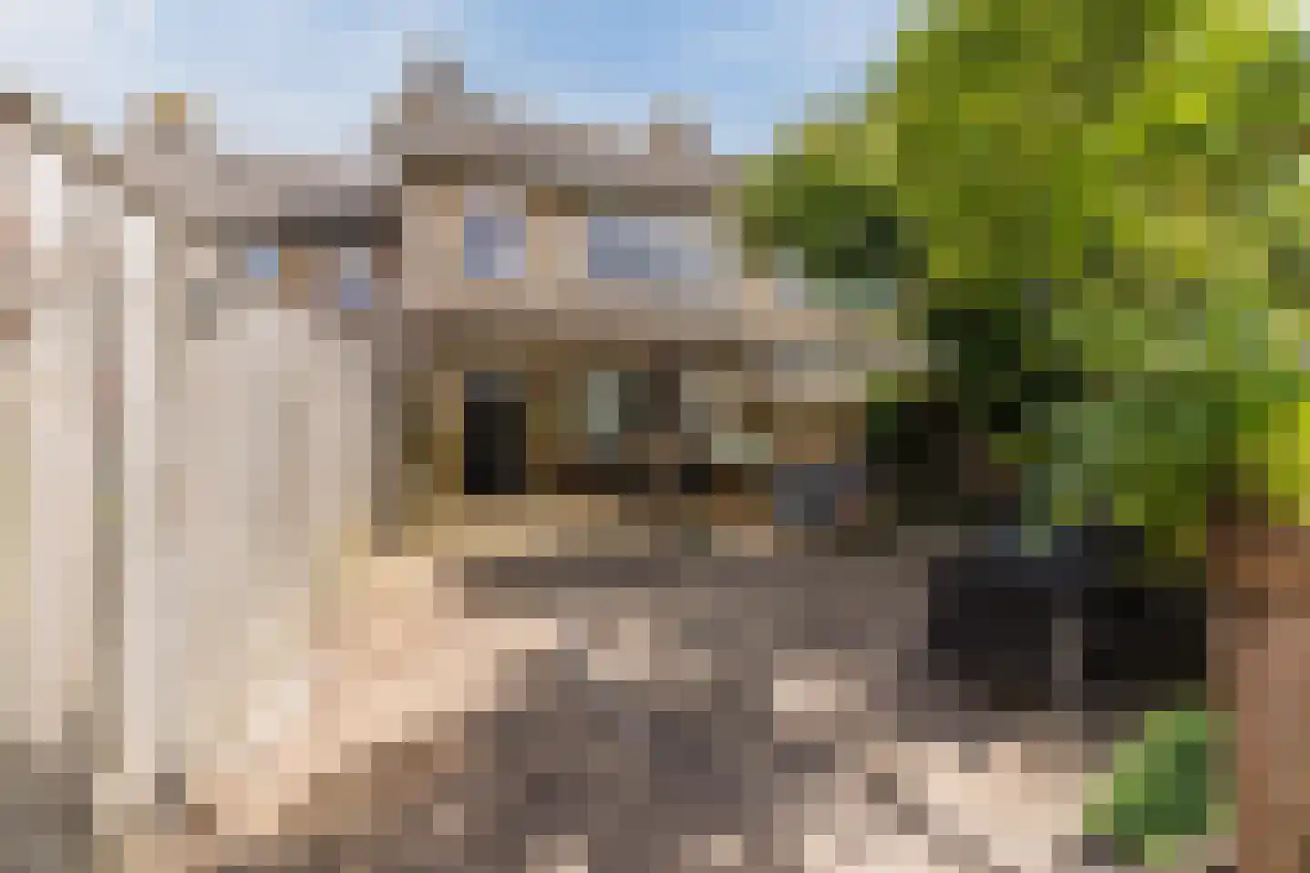 Leliestraat 13 Dongen thumbnail 15