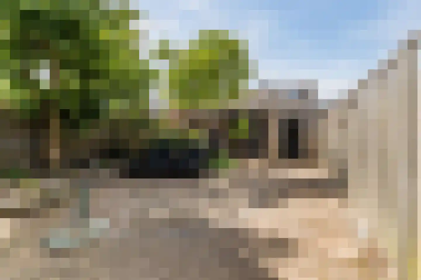 Leliestraat 13 Dongen thumbnail 16