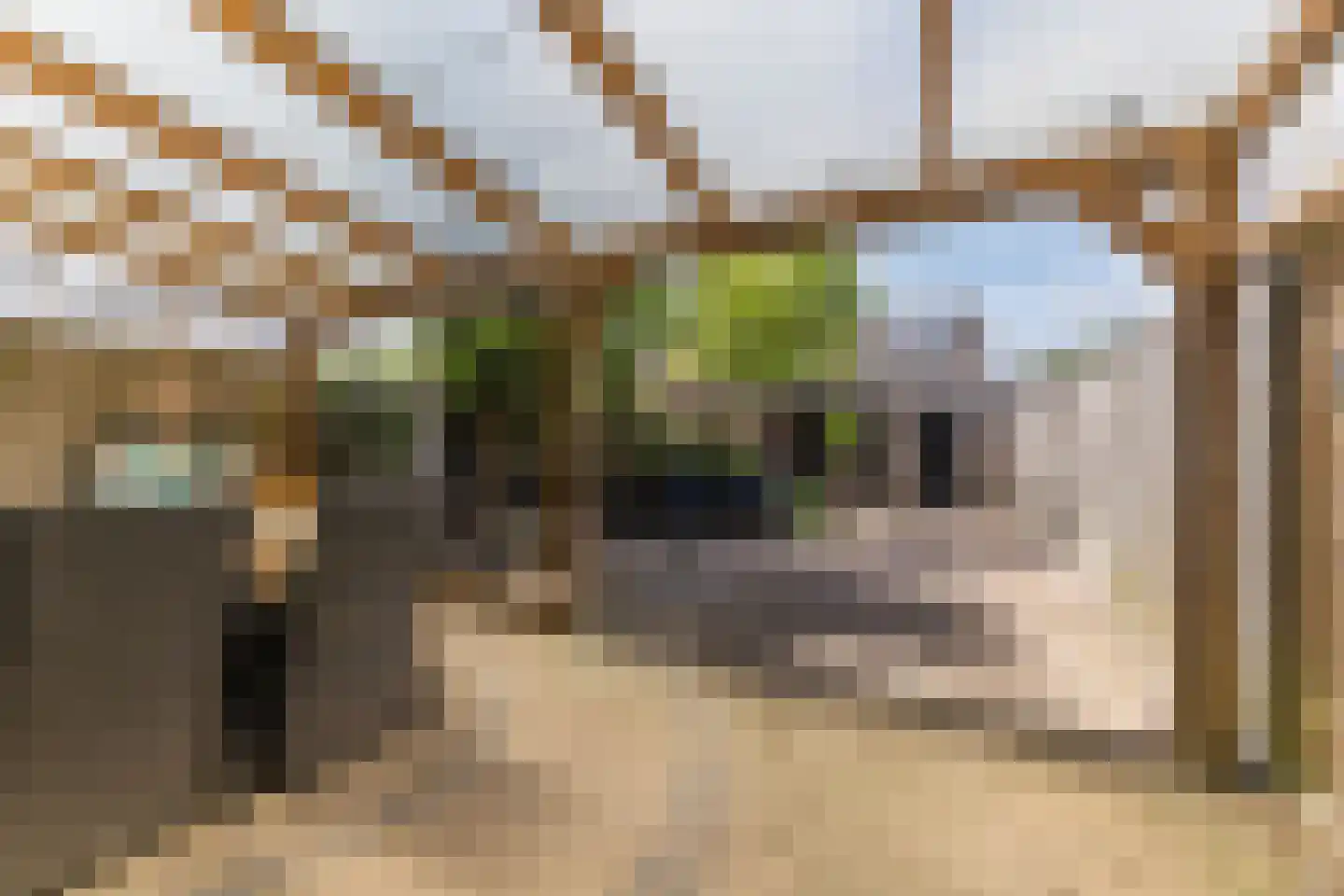 Leliestraat 13 Dongen thumbnail 17