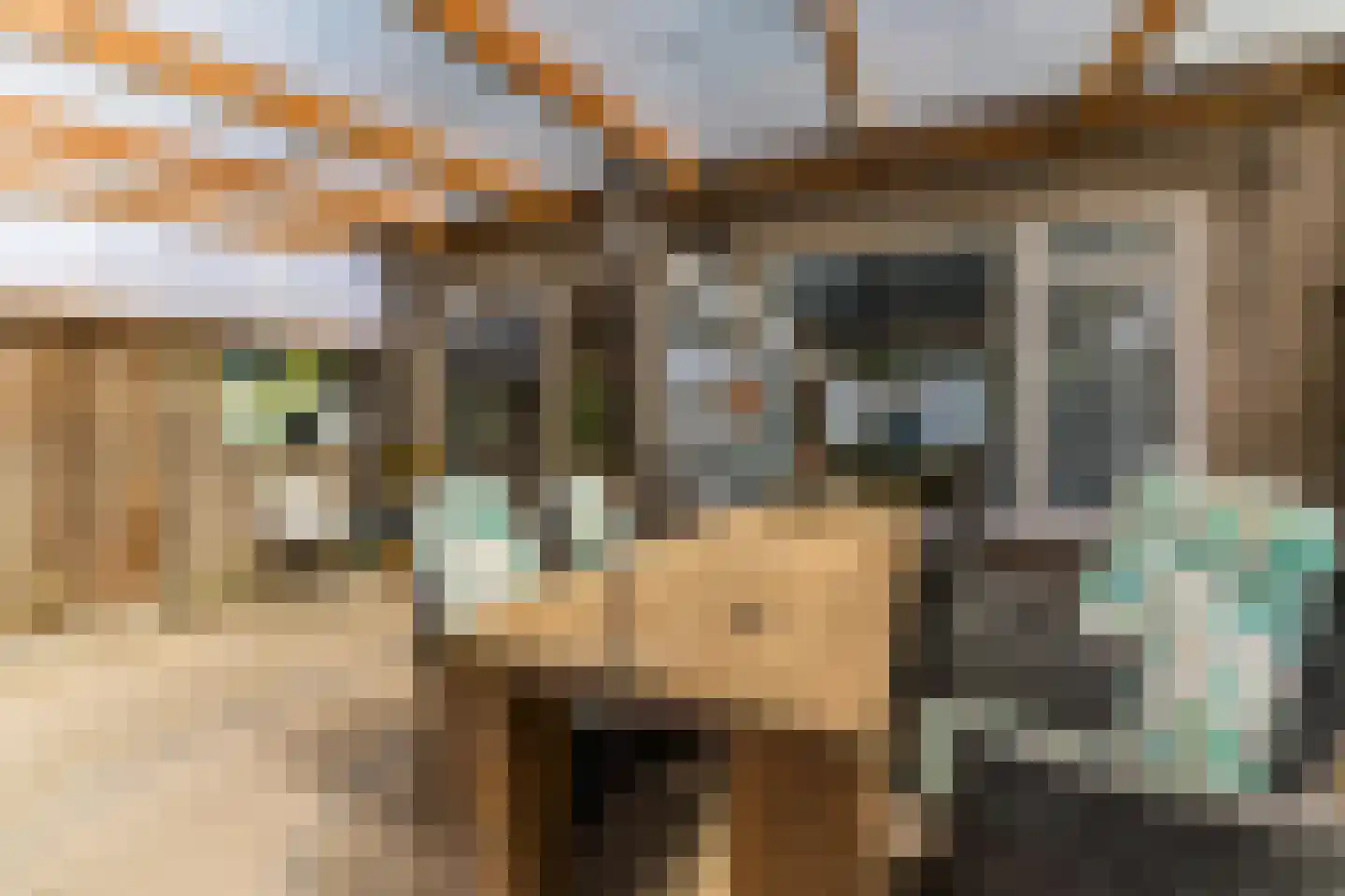 Leliestraat 13 Dongen thumbnail 18