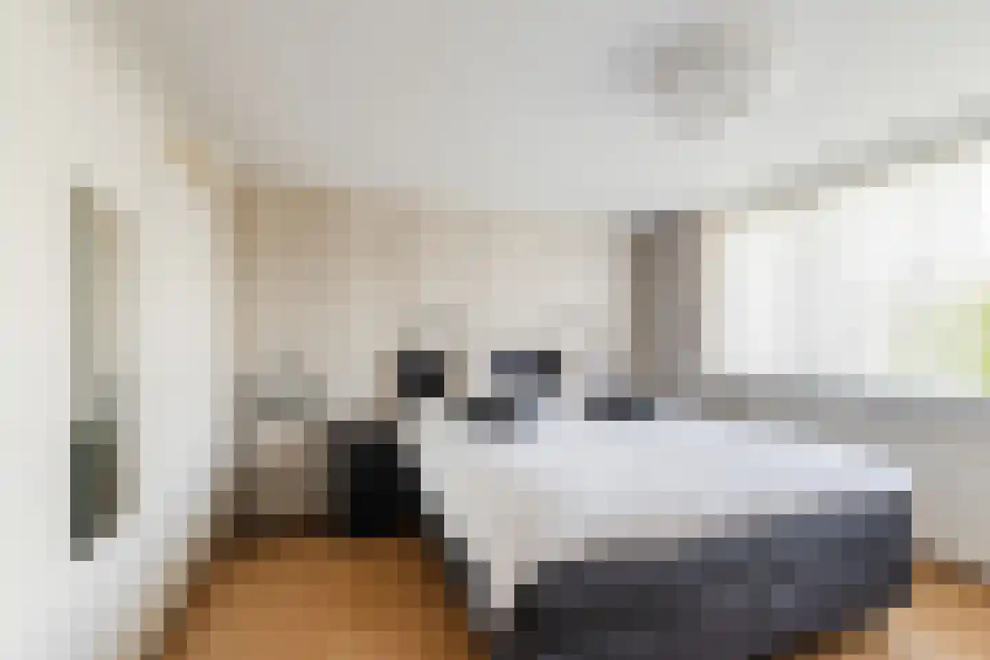 Leliestraat 13 Dongen thumbnail 21