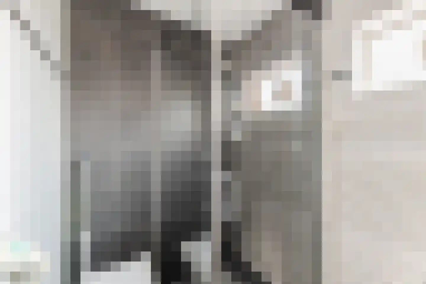 Leliestraat 13 Dongen thumbnail 29