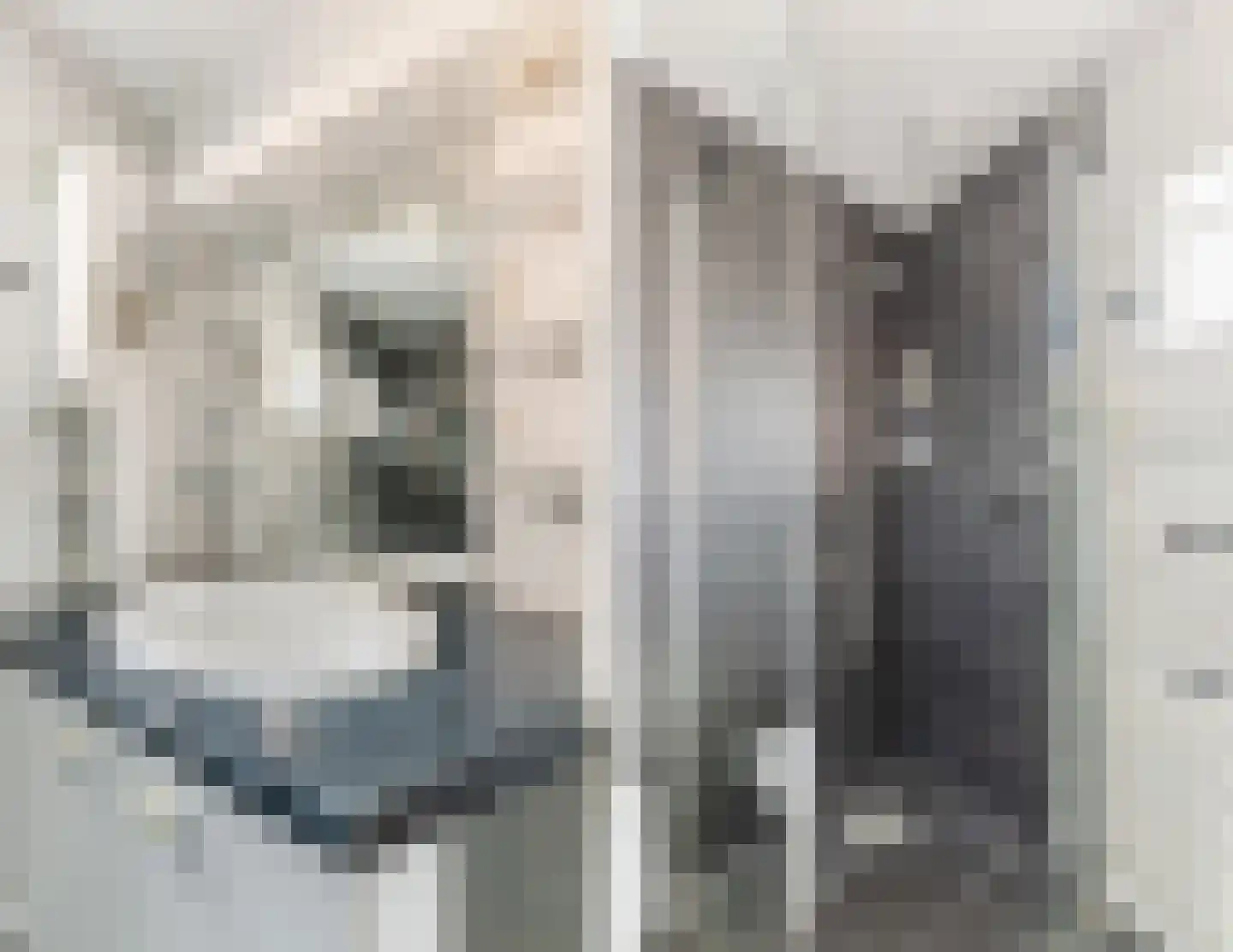 Leliestraat 13 Dongen thumbnail 30