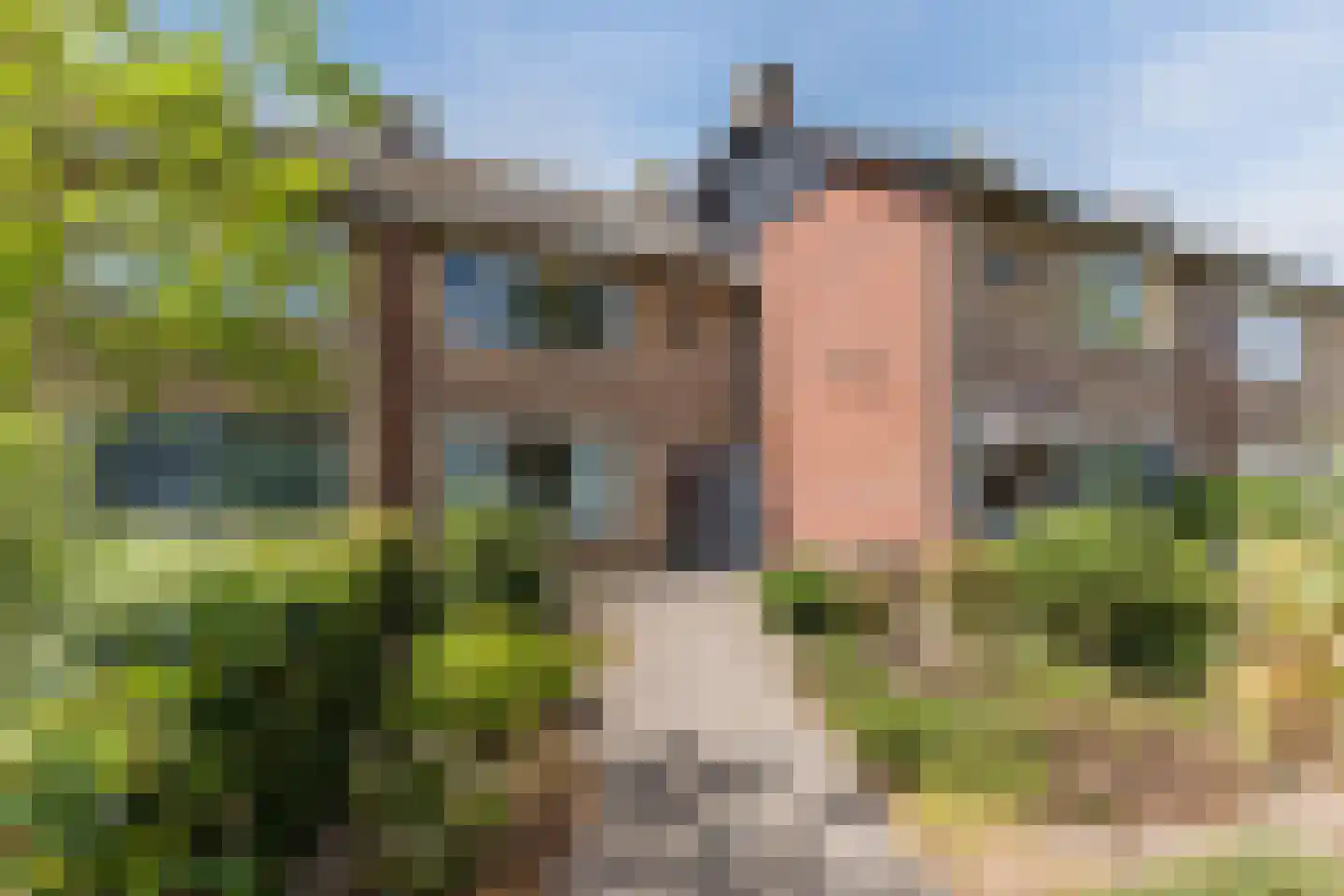Leliestraat 13 Dongen thumbnail 32