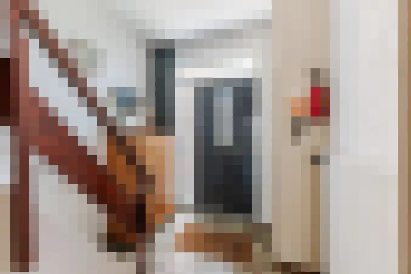 Leliestraat 13 Dongen thumbnail 6