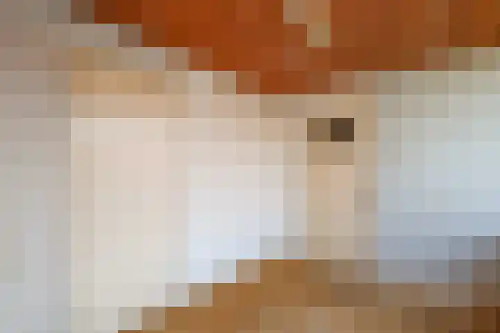 Leliestraat 13 Rozenburg thumbnail 26