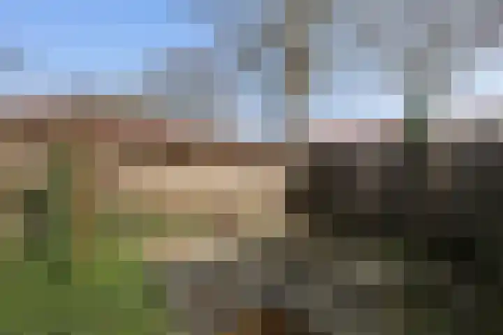 Leliestraat 13 Rozenburg thumbnail 30